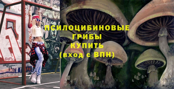 гашишное масло Заводоуковск