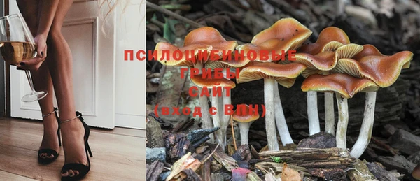 гашишное масло Заводоуковск