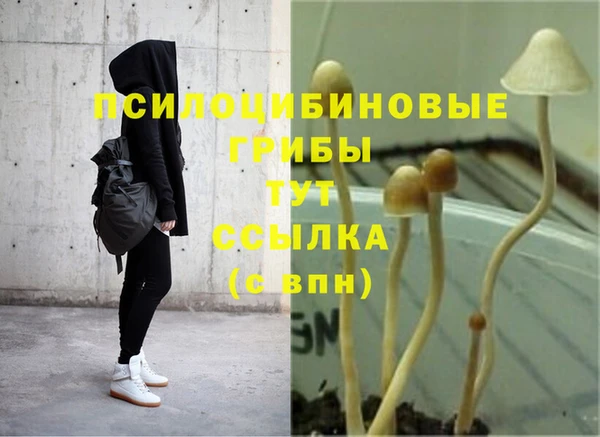мескалин Заволжск
