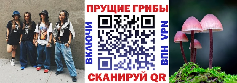 Псилоцибиновые грибы GOLDEN TEACHER  Инта 